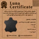 نگهدارنده عینک